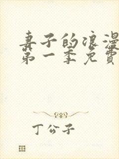 妻子的浪漫旅行第一季免费观看完整版