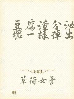 豆腐渣分泌物像块一样掉出来