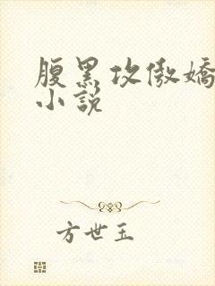 腹黑攻傲娇受的小说