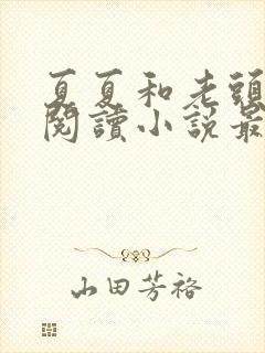 夏夏和老头免费阅读小说最新章节