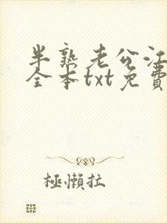 半熟老公江辰烨全本txt免费阅读