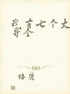 我有七个大佬哥哥全