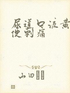 尿道口流黄脓小便刺痛