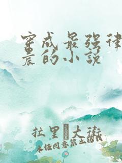 穿成最强律师顾晨的小说