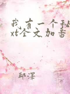 我有一个秘密txt全文加番外
