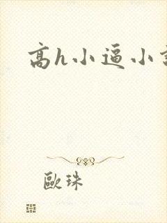 高h小逼小说