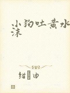 小狗吐黄水带泡沫