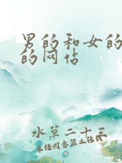 男的和女的搞基的网站