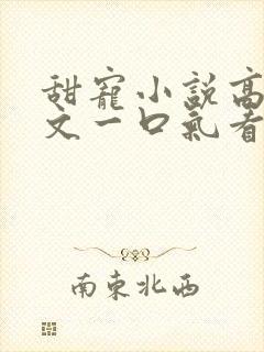 甜宠小说高宠甜文一口气看完