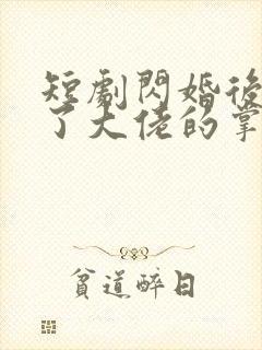 短剧闪婚后我成了大佬的掌中之物全集