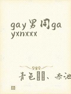 gay男同gayxnxxx