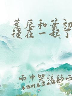 叶辰和萧初然最后在一起了吗?