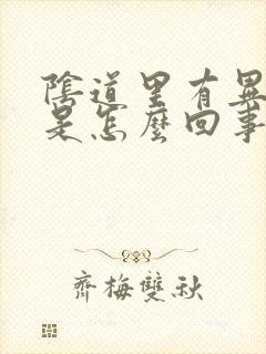 阴道里有异味痒是怎么回事