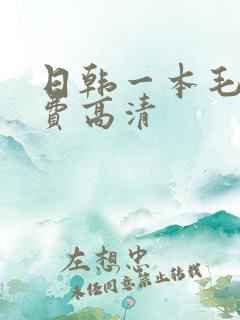 日韩一本毛片免费高清
