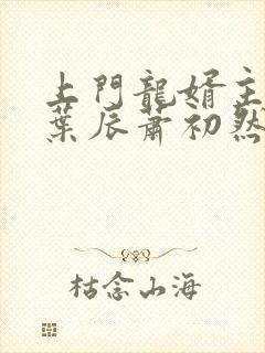 上门龙婿主人公叶辰萧初然