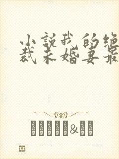 小说我的绝色总裁未婚妻最新章节