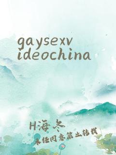 gaysexvideochina