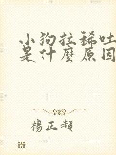 小狗拉稀吐白沫是什么原因