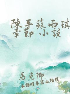 陈平苏雨琪最新章节 小说