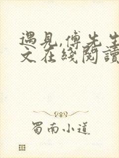 遇见,傅先生全文在线阅读