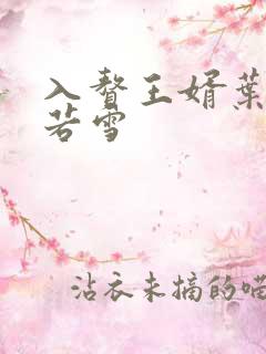 入赘王婿叶凡唐若雪