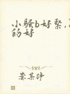 小骚b好紧,日的好