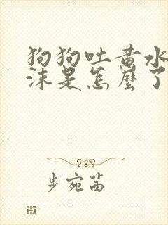 狗狗吐黄水带泡沫是怎么了