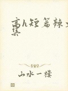 高h短篇辣文合集