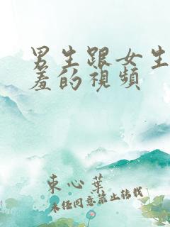 男生跟女生干羞羞的视频