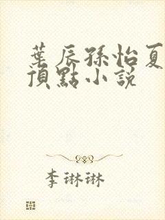 叶辰孙怡夏若雪顶点小说