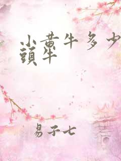 小黄牛多少钱一头牛