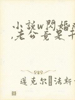 小说w闪婚成宠,老公竟是千亿大佬》