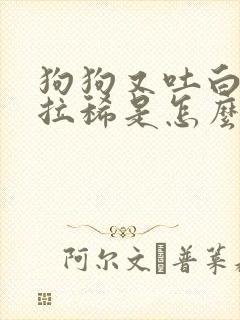 狗狗又吐白沫又拉稀是怎么回事