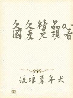 久久精品a一级国产免视看成人