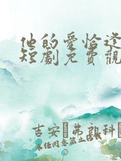 他的爱恰逢其时短剧免费观看