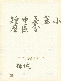 短中长篇小说怎么区分