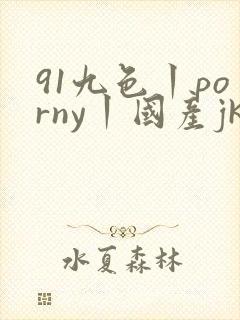 91九色丨porny丨国产jk