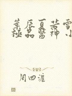 叶辰夏若雪都市极品医神 小说