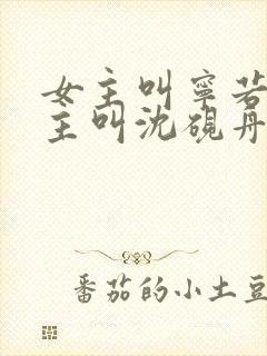 女主叫宁若曦男主叫沈砚舟的小说