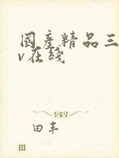 国产精品三级av在线