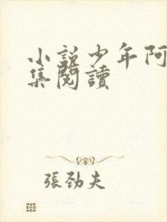 小说少年阿宾全集阅读