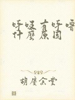 呼吸有呼噜声是什么原因