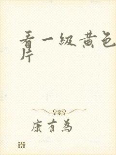 看一级黄色国产片