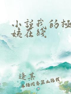 小说我的极品小姨在线