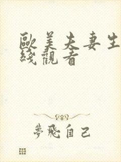 欧美夫妻生活在线观看