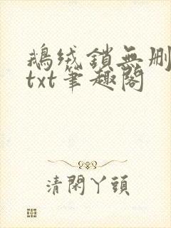 鹅绒锁无删减版txt笔趣阁