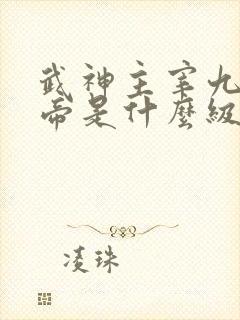 武神主宰九天武帝是什么级别