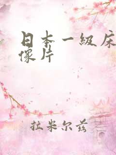 日本一级床上录像片