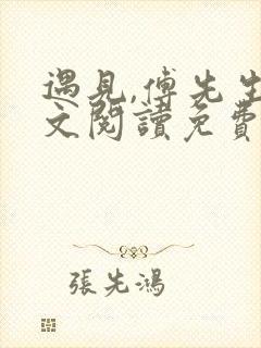 遇见,傅先生全文阅读免费