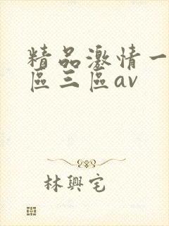 精品激情一区二区三区av